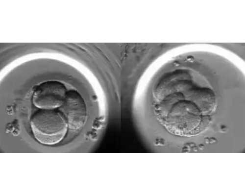 广西生育新政：产假延长至158天，多孩家庭享福利