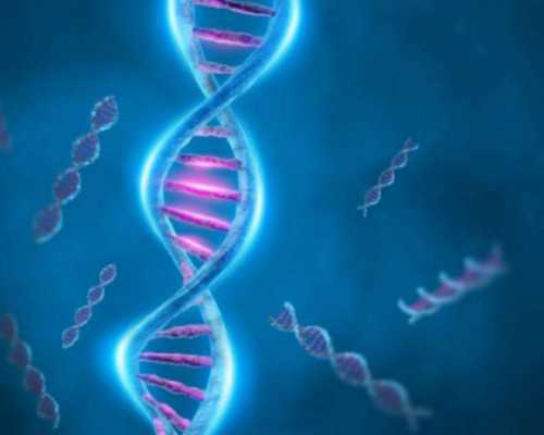 广西有正规代孕公司|广西南宁试管婴幼儿，广西南宁哪里做试管好