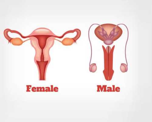 泰国试管捐卵：单身男性如何通过三代试管拥抱宝宝？