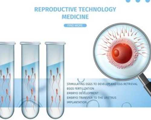 了解试管婴儿：成功率、毕业时间和价格