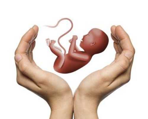 试管婴儿成本解析：私人助孕选项与成功率