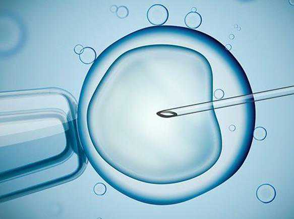 深圳供卵试管案例 试管婴儿深圳哪家医院成功率高 ‘孕囊相差一倍是男是女’