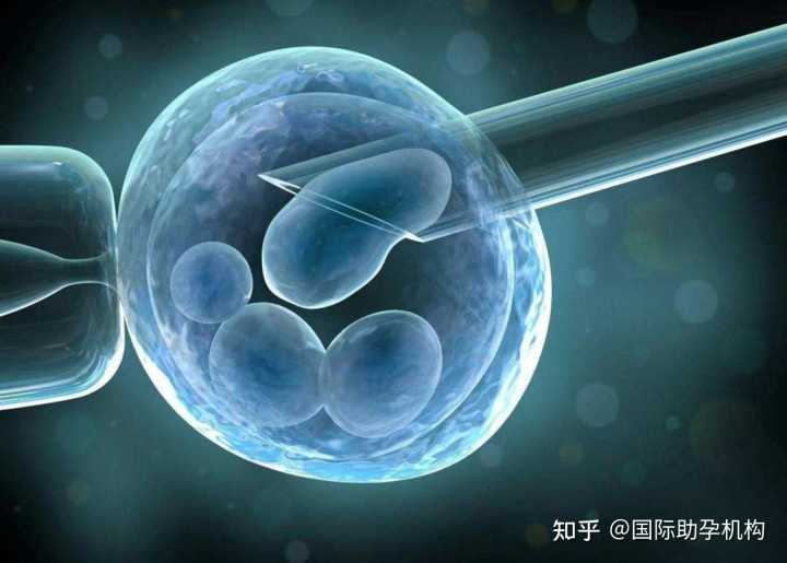 2023年郑州市正规民营供卵机构排名更新,2023郑州供卵助孕机构排名公布附郑州最